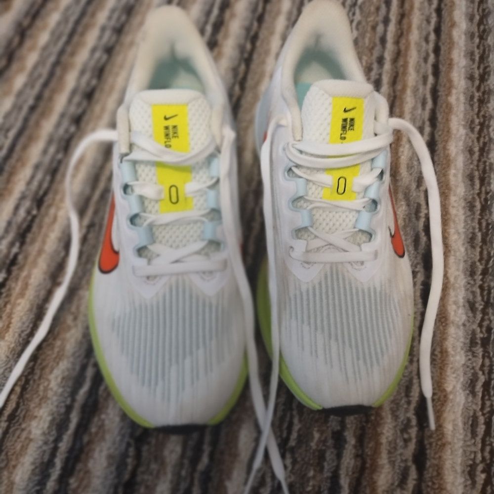 Nikes winflo-09
